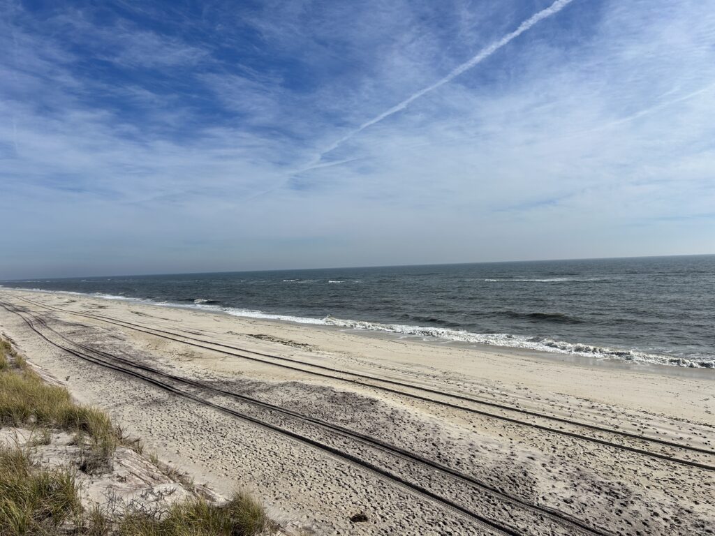 a beach with sand and water (MyCoast AI)