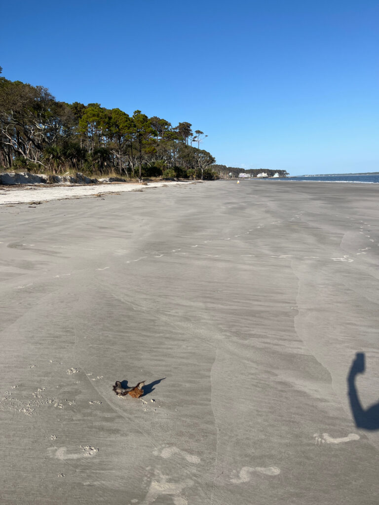 a person lying on the sand (MyCoast AI)