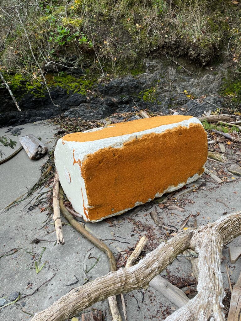 a broken piece of wood (MyCoast AI)