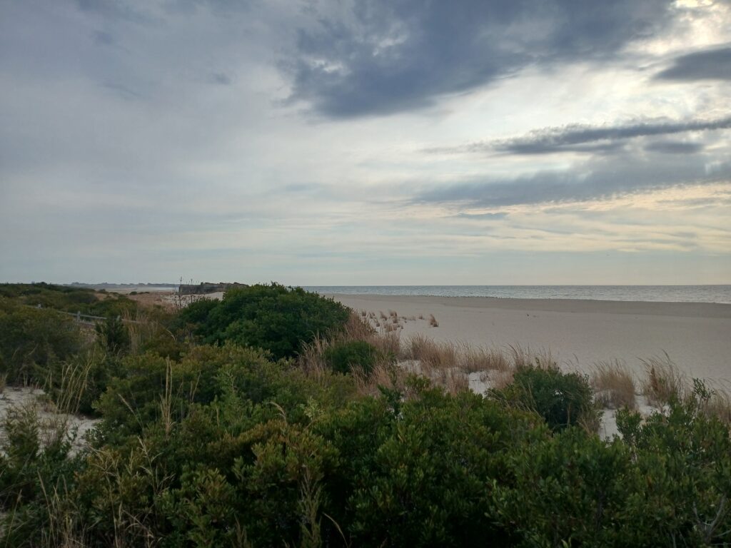 a body of water with trees and bushes around it (MyCoast AI)