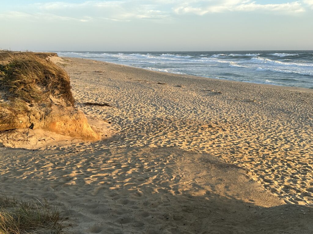 a sandy beach with waves crashing on it (MyCoast AI)