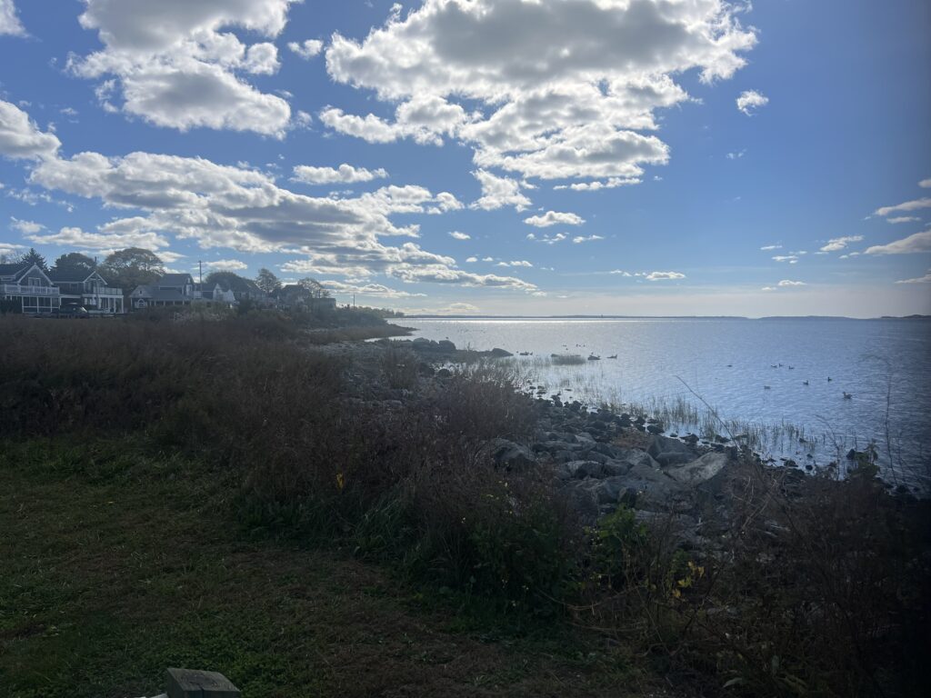 a grassy area next to a body of water (MyCoast AI)