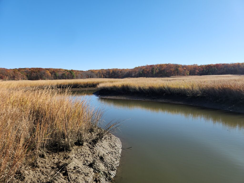 a body of water with grass and trees around it (MyCoast AI)