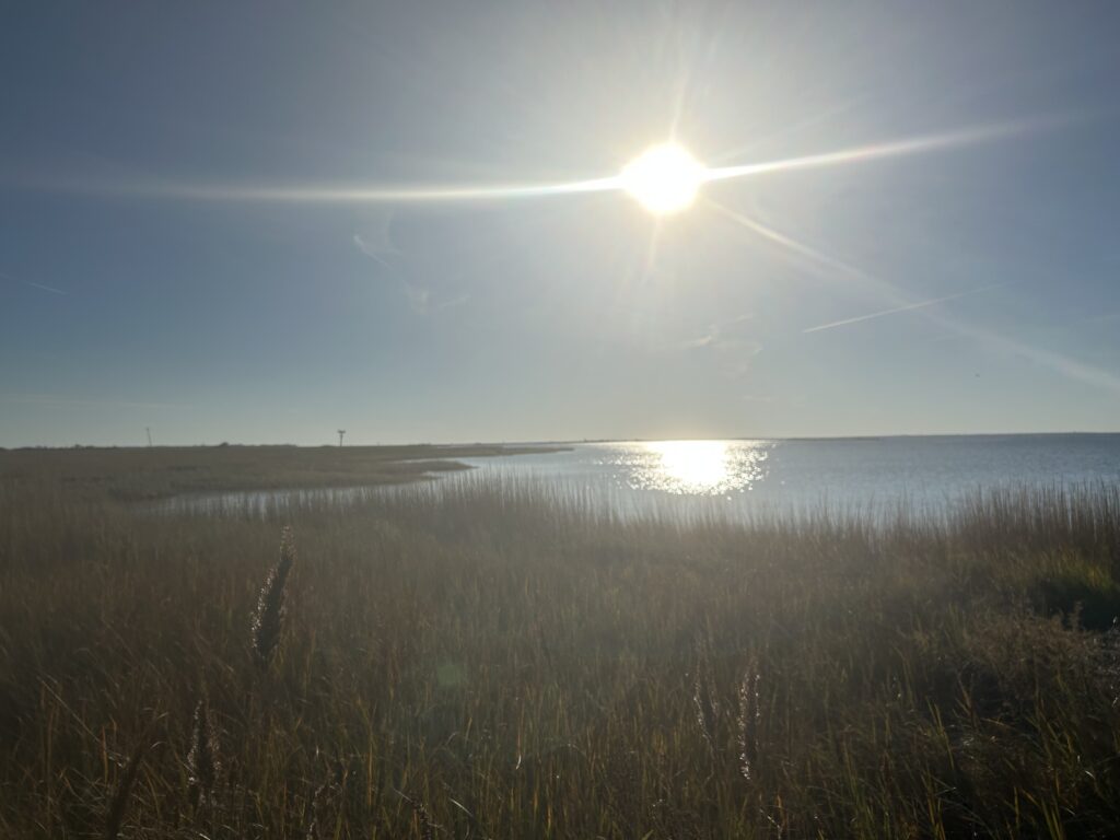 a grassy area with the sun in the background (MyCoast AI)