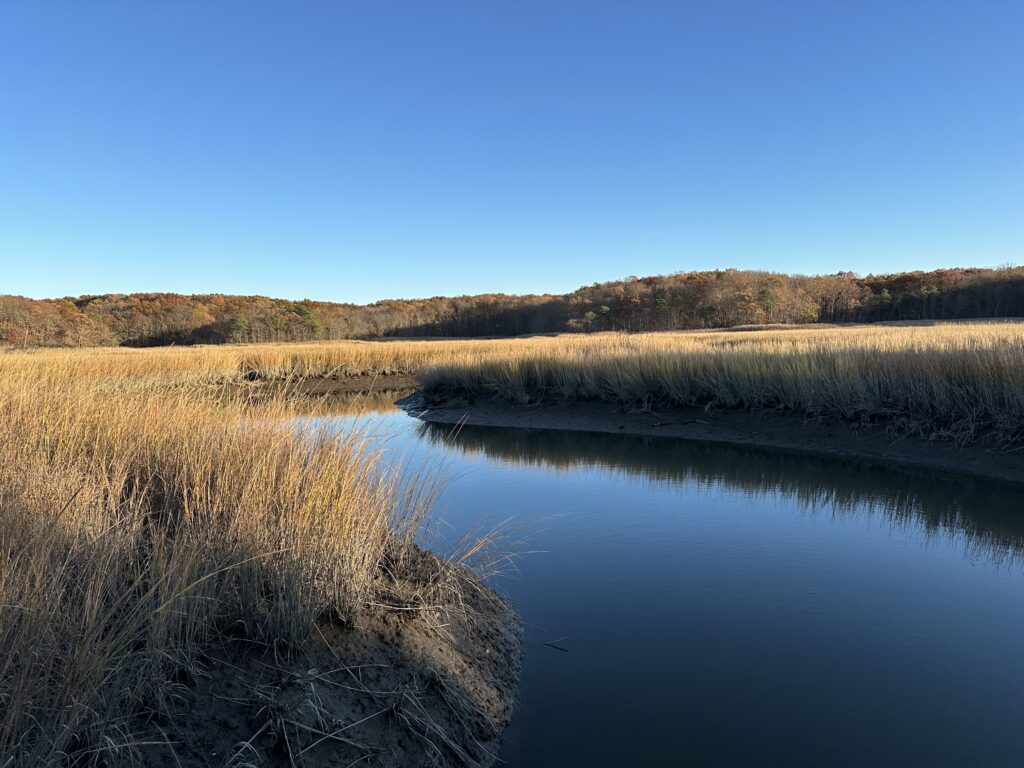 a body of water with grass and trees around it (MyCoast AI)