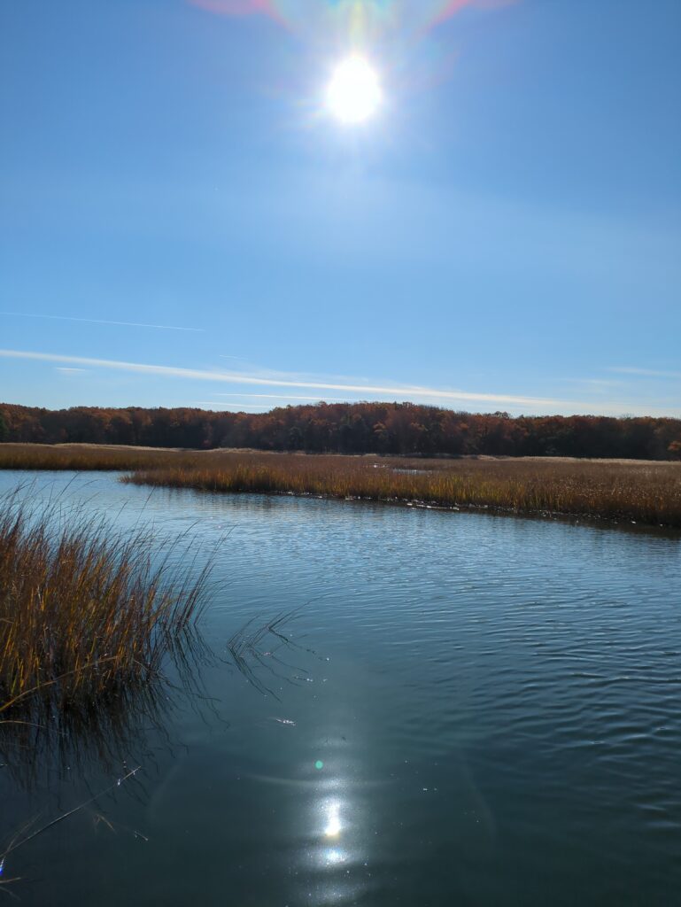a body of water with grass and trees around it (MyCoast AI)