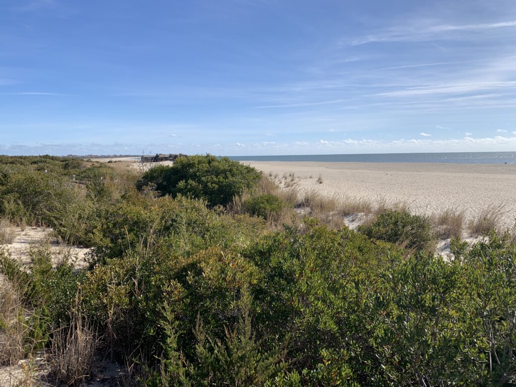 a landscape with bushes and trees (MyCoast AI)