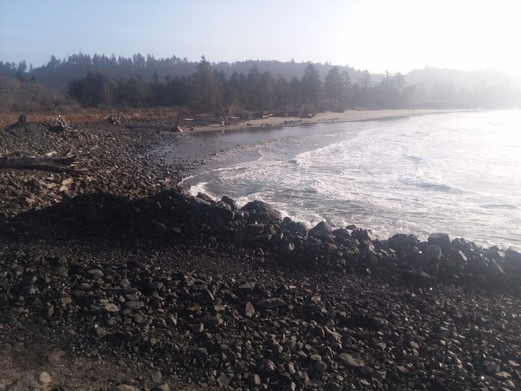 a rocky beach with trees in the background (MyCoast AI)