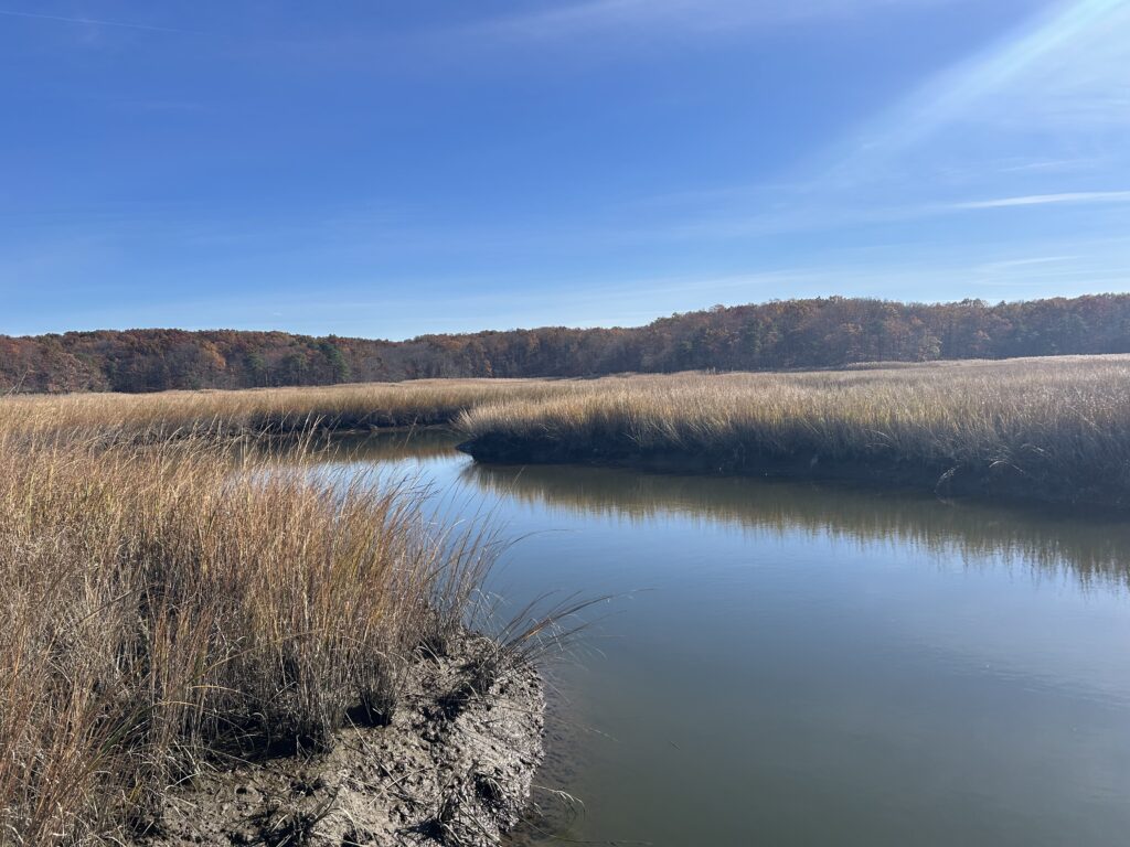 a body of water with grass and trees around it (MyCoast AI)