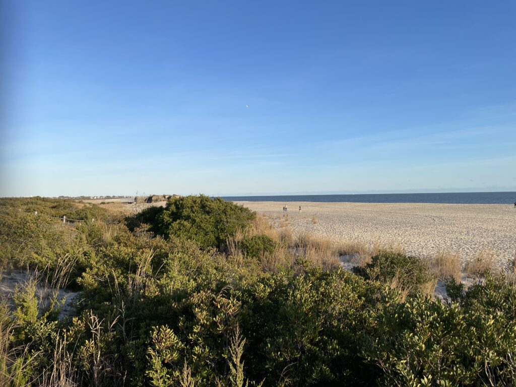 a landscape with bushes and trees (MyCoast AI)