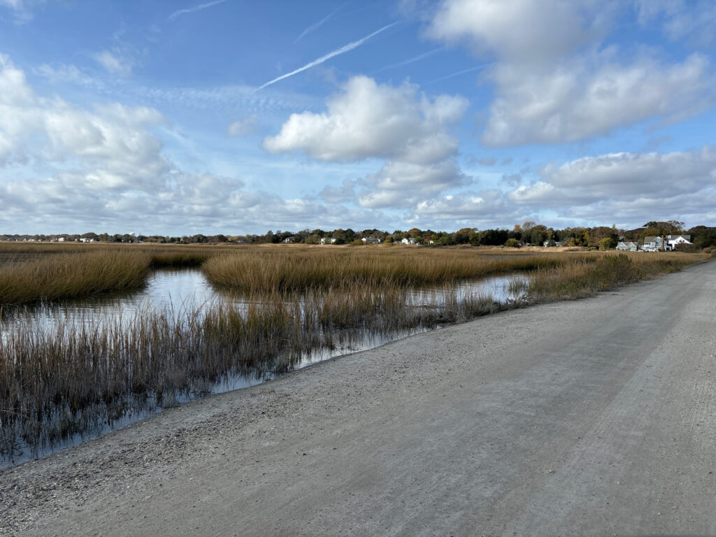 a road with grass and water on the side (MyCoast AI)