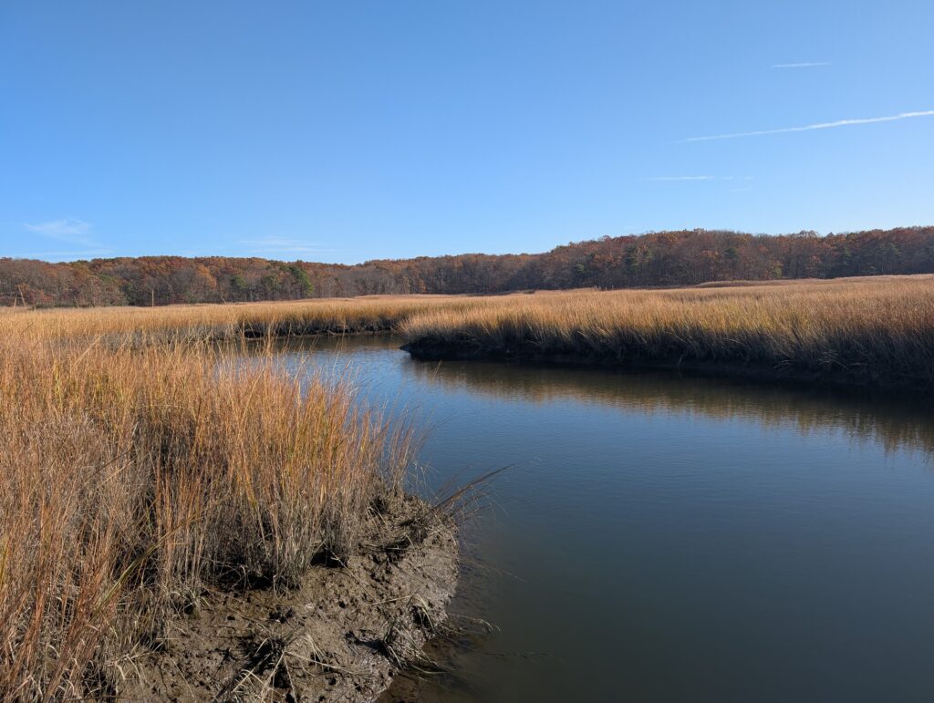 a body of water with grass and trees around it (MyCoast AI)