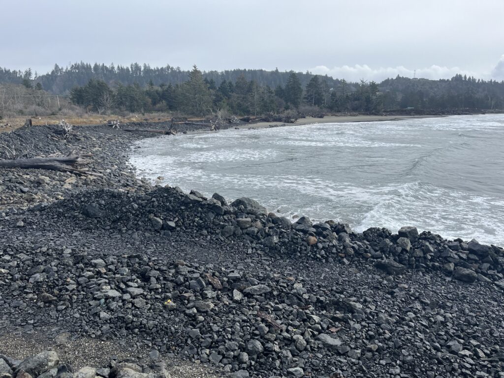 a rocky beach with trees in the background (MyCoast AI)