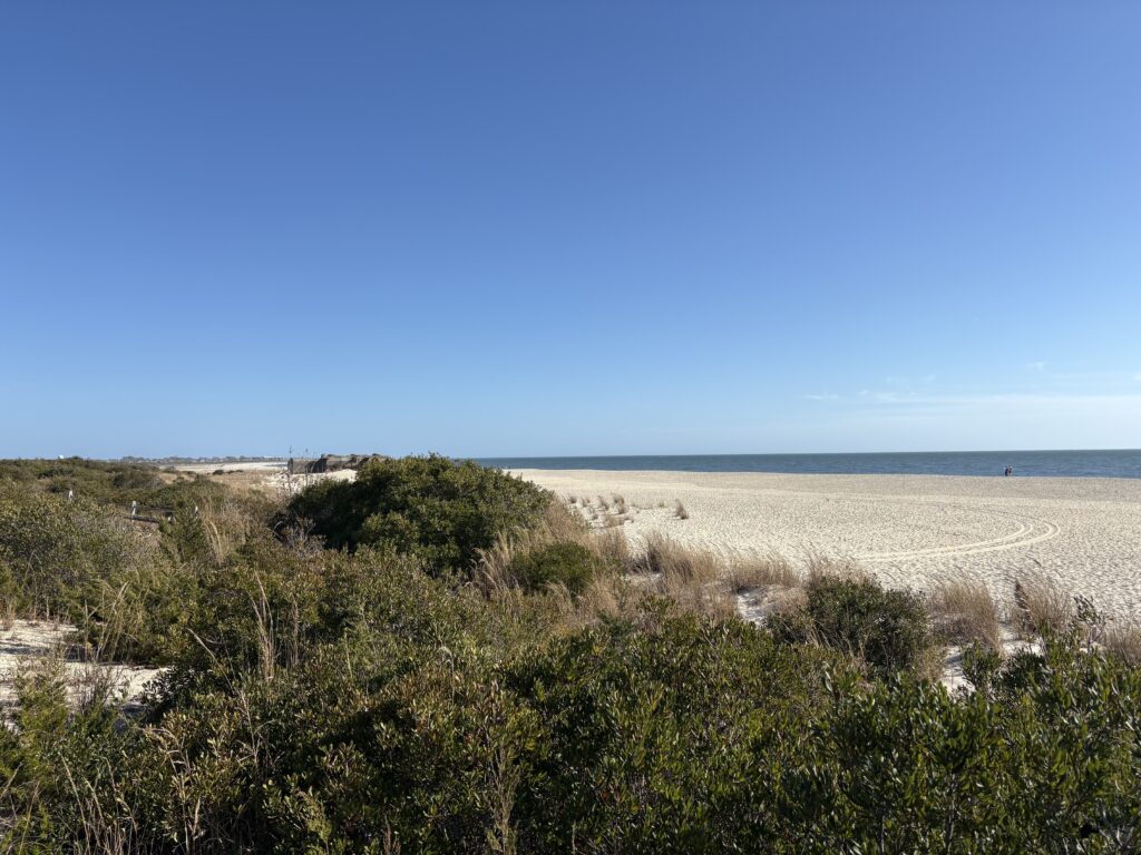 a sandy beach with bushes and trees (MyCoast AI)
