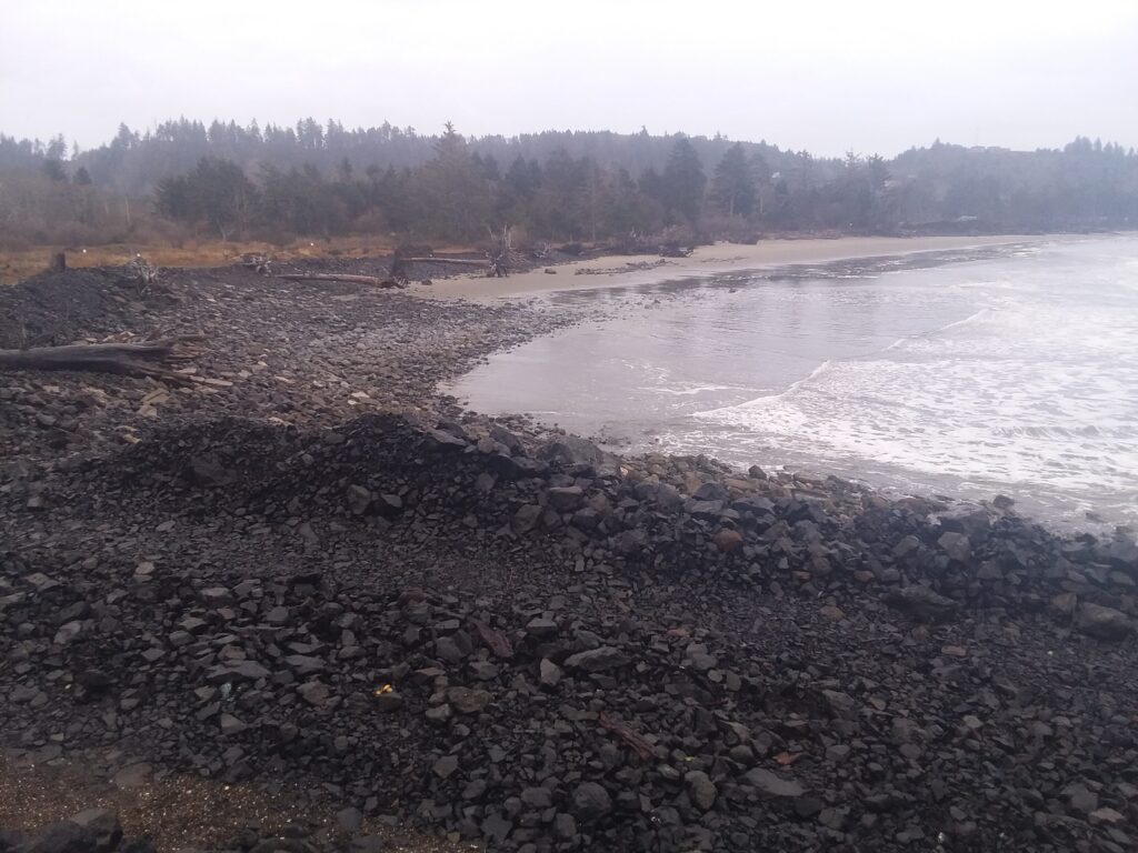 a rocky beach with trees in the background (MyCoast AI)