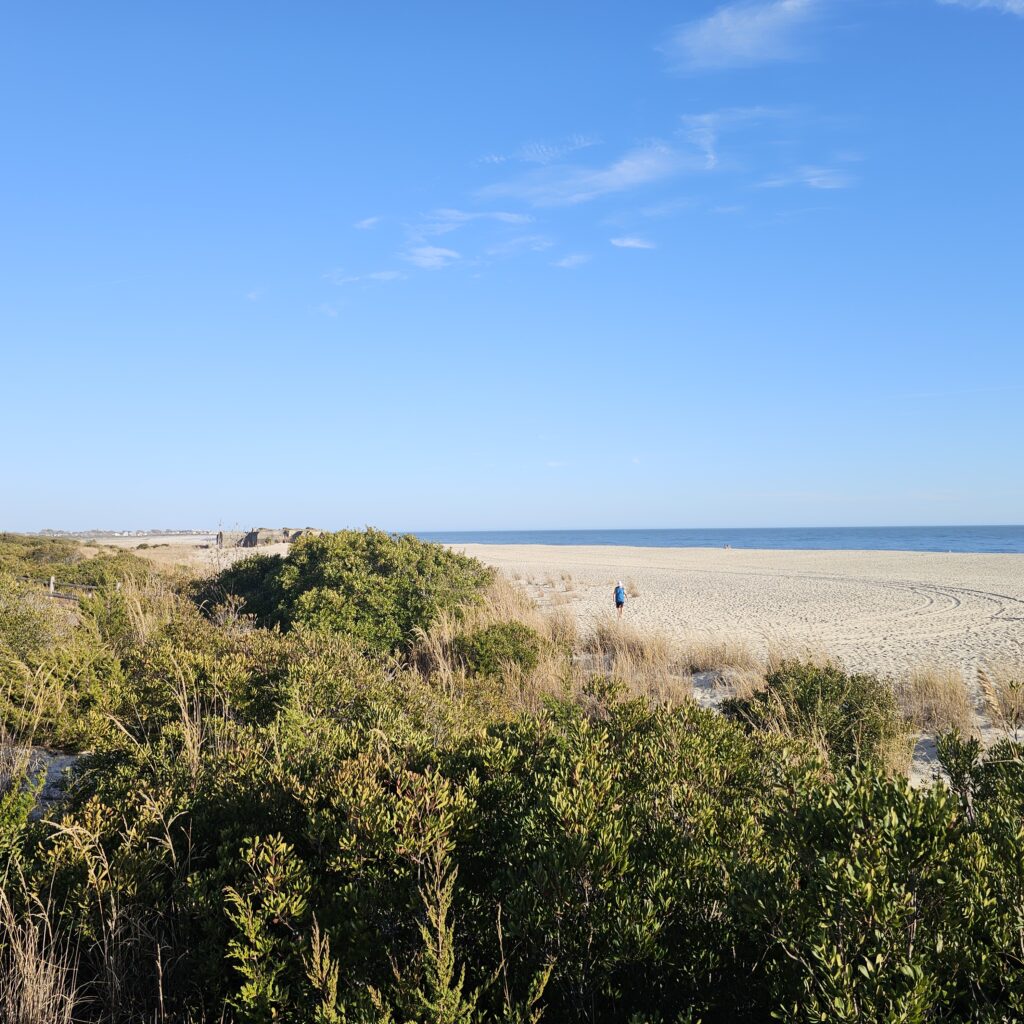 a person walking on a beach (MyCoast AI)
