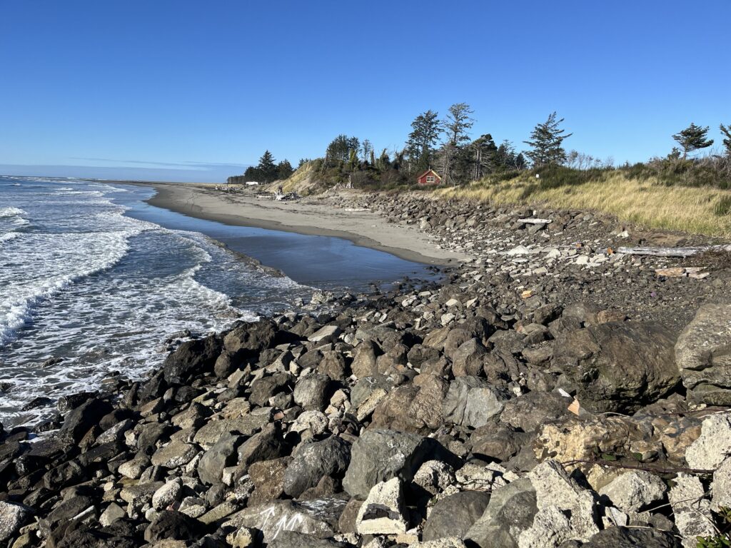 a rocky beach with a body of water and trees in the background (MyCoast AI)