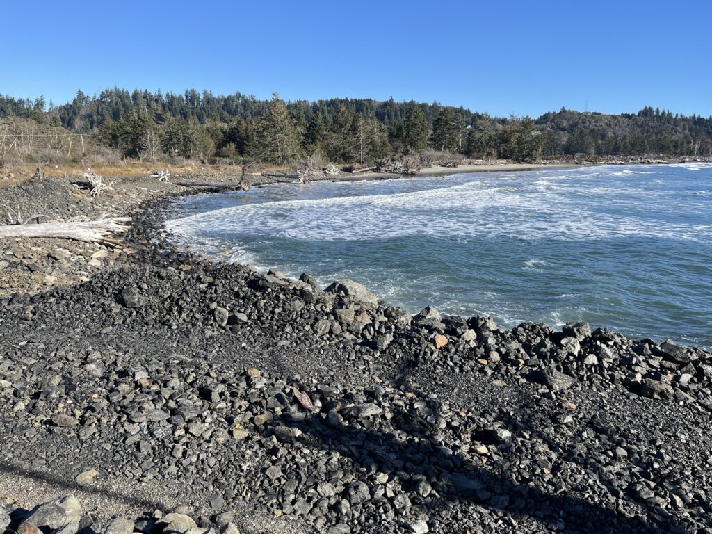 a rocky beach with trees in the background (MyCoast AI)