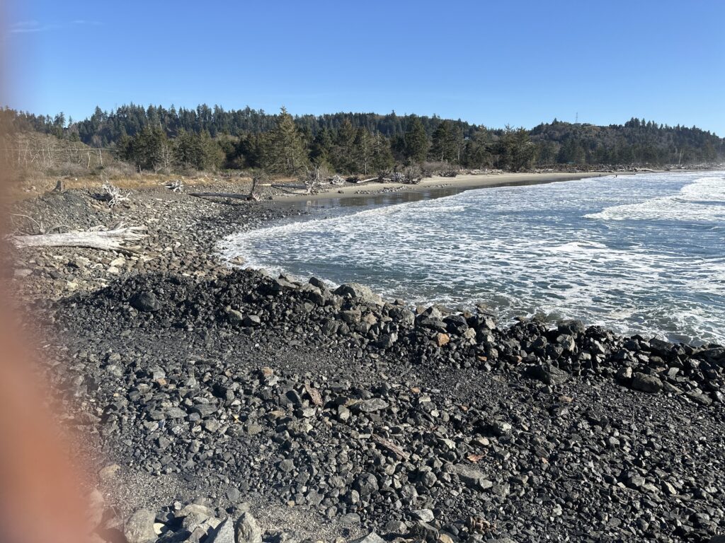 a rocky beach with trees in the background (MyCoast AI)