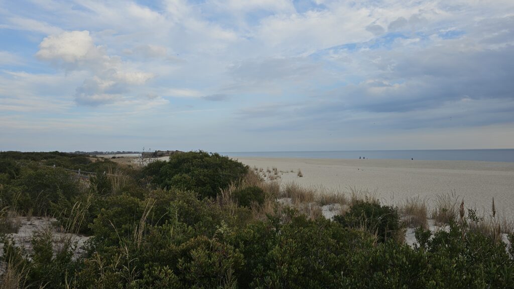 a beach with bushes and trees (MyCoast AI)
