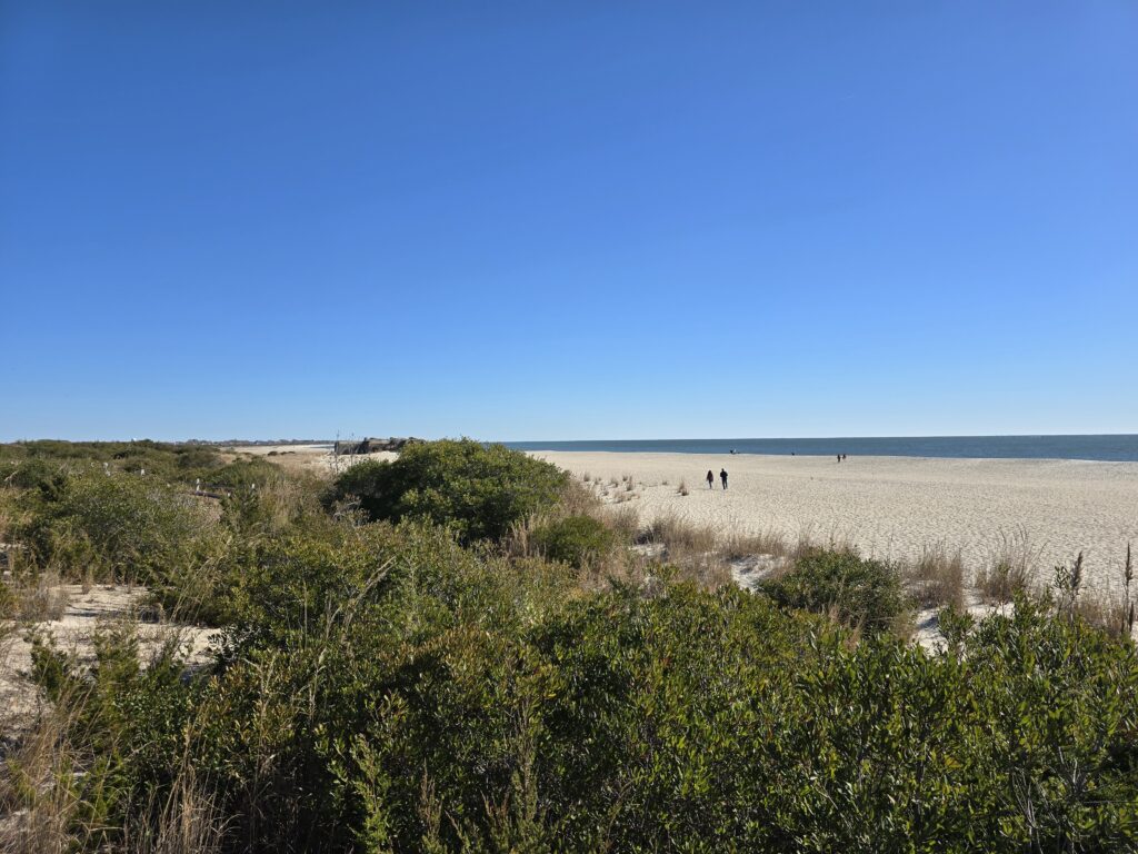 a sandy beach with bushes and trees (MyCoast AI)