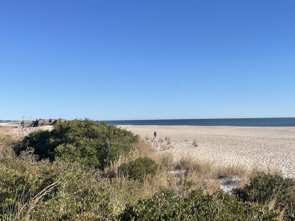 a person walking on a beach (MyCoast AI)
