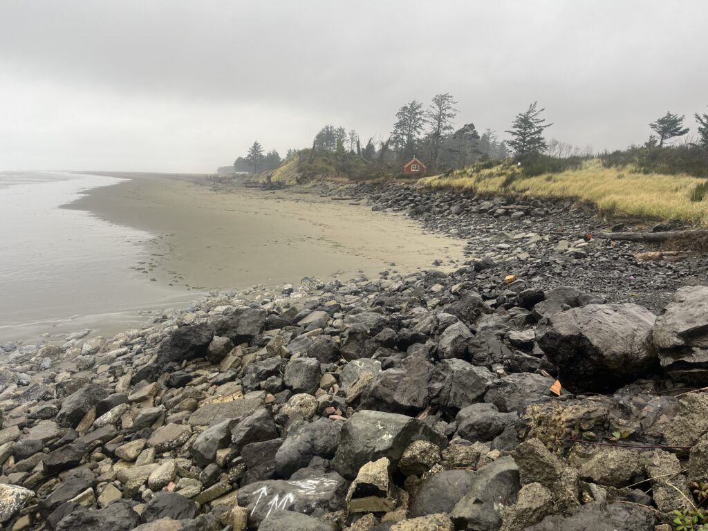 a rocky beach with a body of water in the background (MyCoast AI)