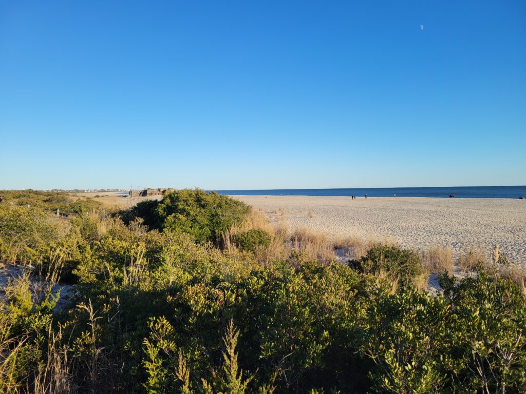 a landscape with trees and bushes (MyCoast AI)