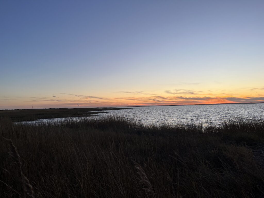 a grassy area next to a body of water (MyCoast AI)