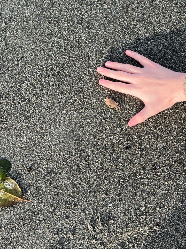 a hand on a wet surface (MyCoast AI)