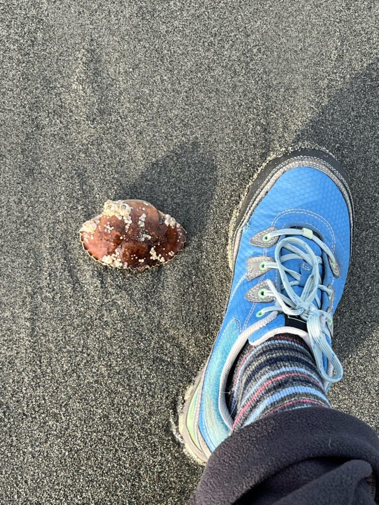 a person's foot with a donut on it (MyCoast AI)