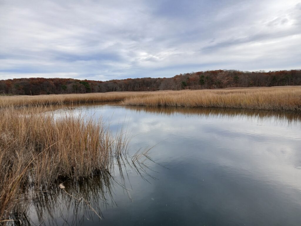 a body of water with grass and trees around it (MyCoast AI)