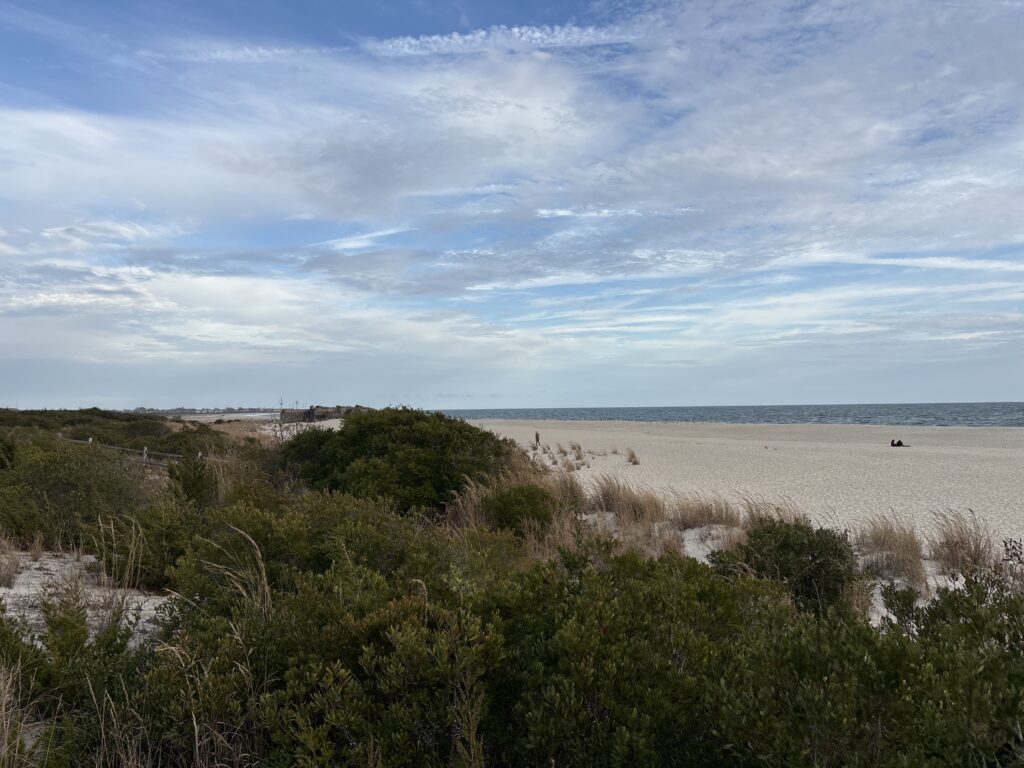 a sandy beach with bushes and trees (MyCoast AI)