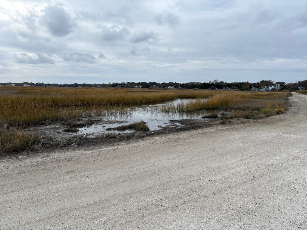 a road with a puddle on the side and a field of grass on the side (MyCoast AI)