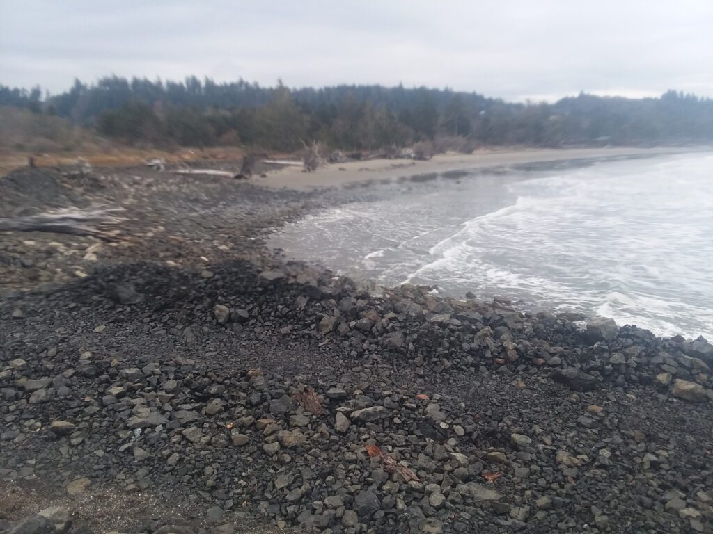 a rocky beach with trees in the background (MyCoast AI)