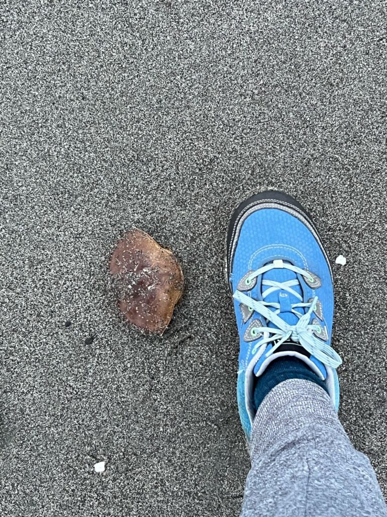 a person's feet and a rock on the ground (MyCoast AI)