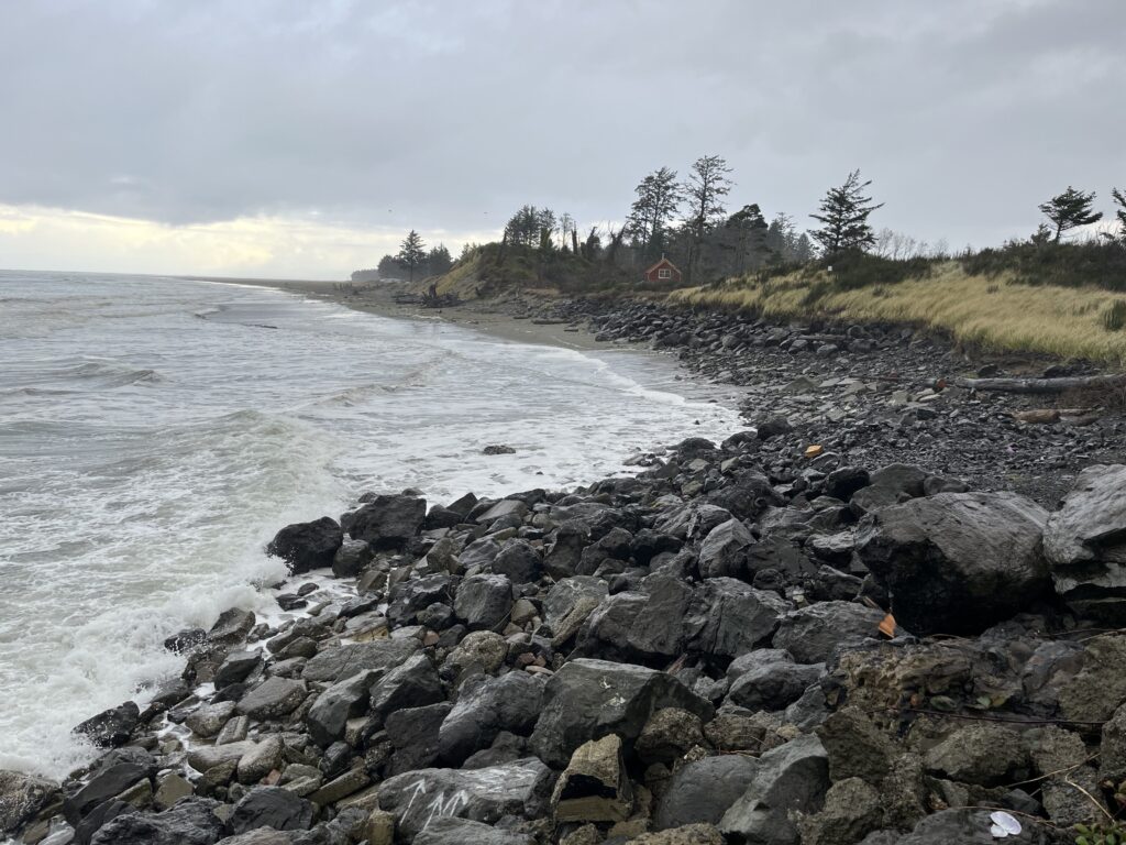 a rocky beach with trees and a hill in the background (MyCoast AI)