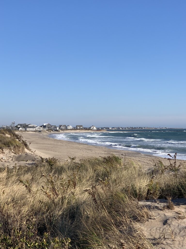 a beach with waves crashing on it (MyCoast AI)