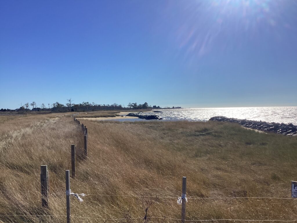 a field with a fence and a body of water in the background (MyCoast AI)