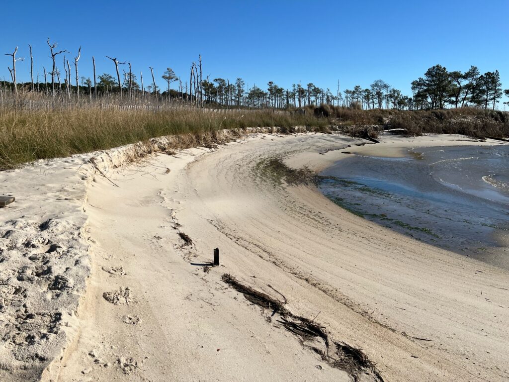 a sandy beach with grass and trees (MyCoast AI)