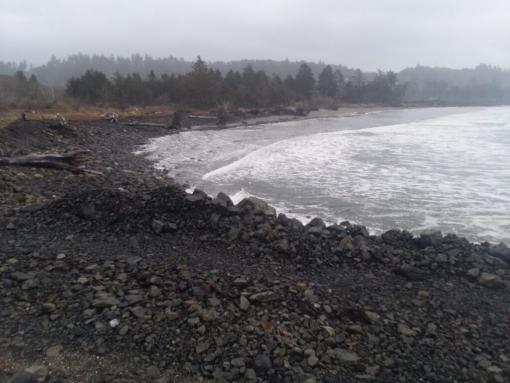 a rocky beach with trees in the background (MyCoast AI)
