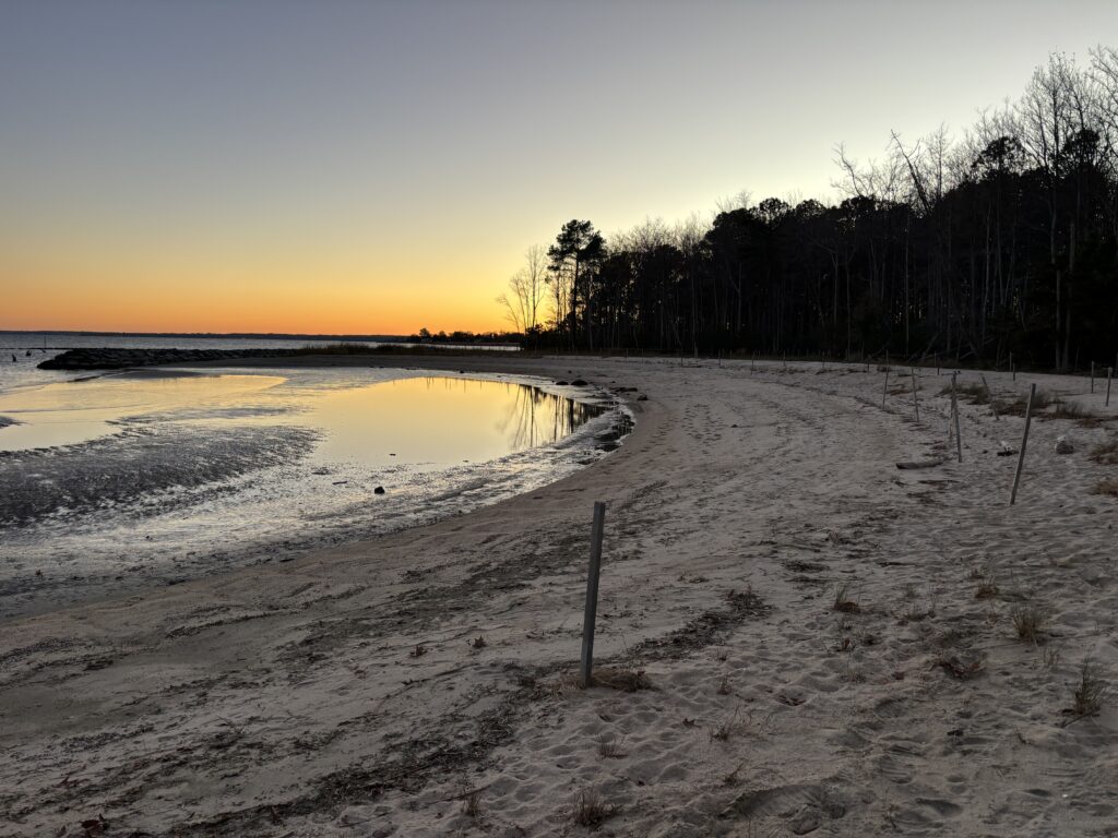 a beach with snow and trees (MyCoast AI)
