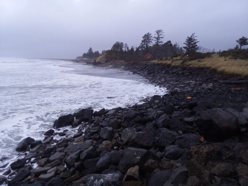 a rocky beach with trees and a body of water (MyCoast AI)