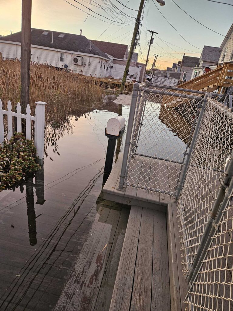 a bird cage on a fence (MyCoast AI)