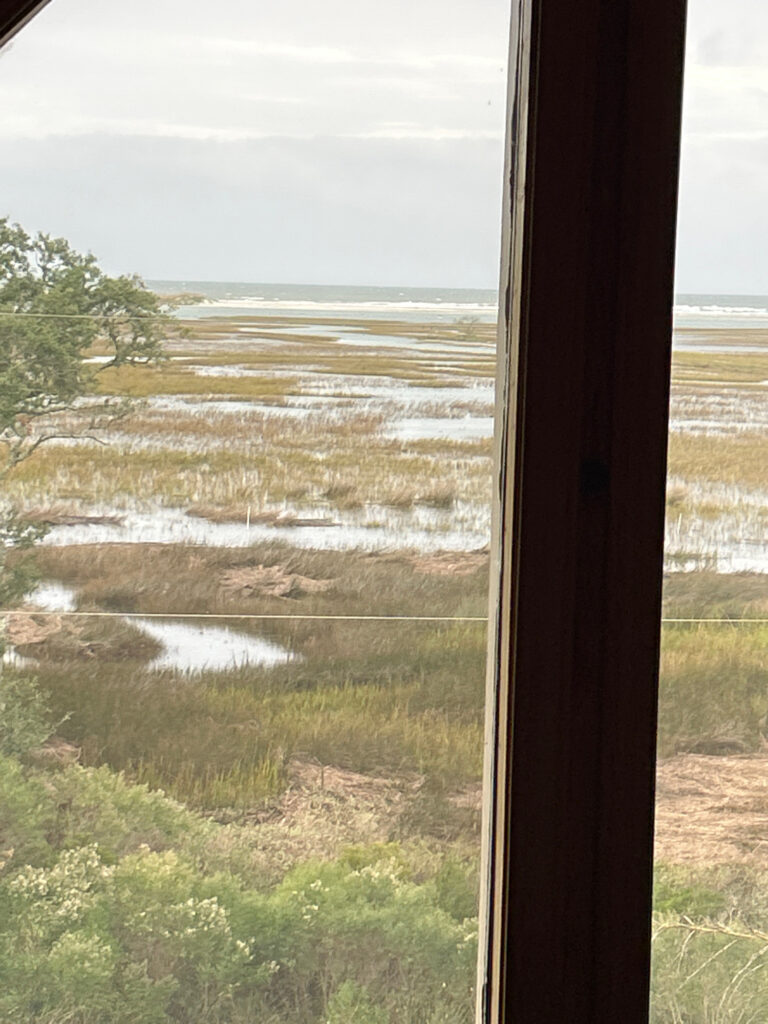 a view of a river through a window (MyCoast AI)