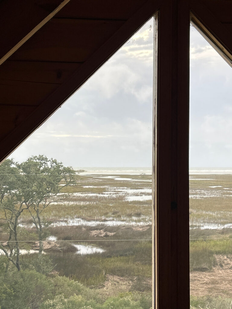 a view of a city from a window (MyCoast AI)