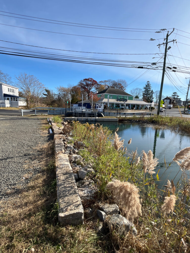 a pond with a building in the background (MyCoast AI)