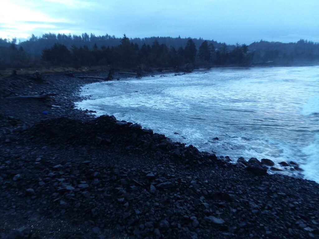 a rocky shore with a body of water and trees in the background (MyCoast AI)