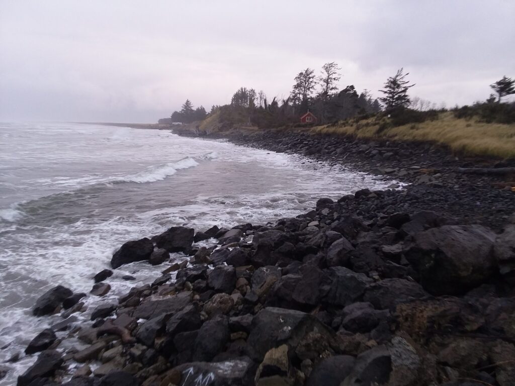 a rocky beach with trees and a body of water (MyCoast AI)
