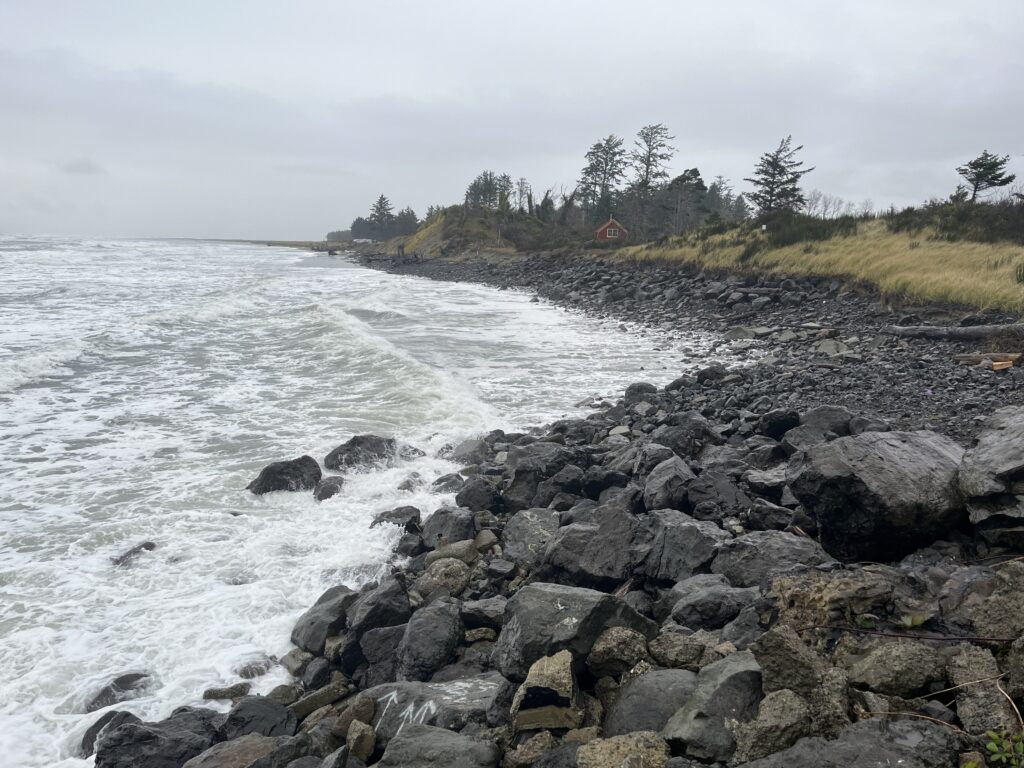 a rocky beach with trees and grass (MyCoast AI)